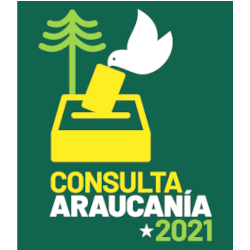 Consulta Araucanía 2021